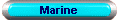 Marine